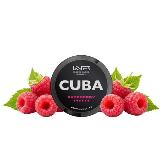 Cuba Black Raspberry 20 mg/pouch (30 mg/g)