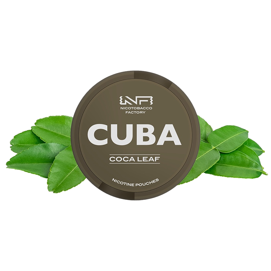Cuba Exclusive Coca Leaf 20 mg/pouch (30 mg/g)