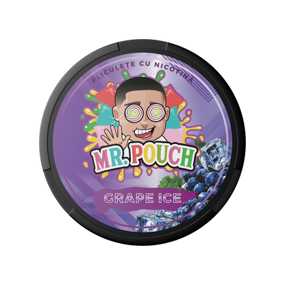 Mr. Pouch Grape Ice 14 mg/pouch (20 mg/g)