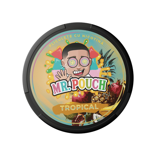 Mr. Pouch Tropical 14 mg/pouch (20 mg/g)