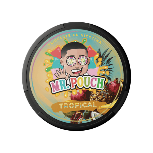 Mr. Pouch Tropical 14 mg/pouch (20 mg/g)